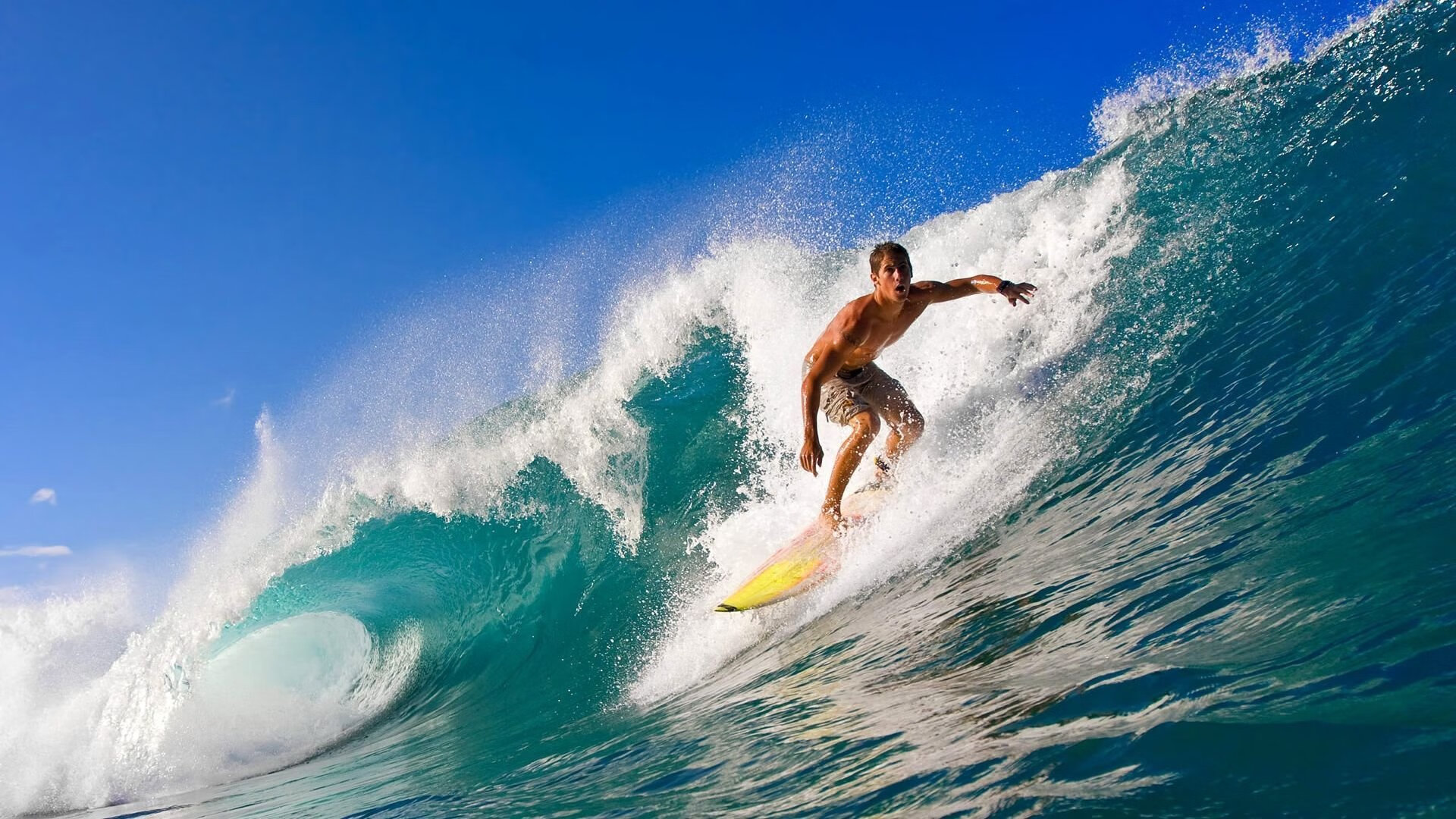 威廉姆斯在决赛中击败荷兰选手桑妮·范·代克，范妮莎威廉姆斯