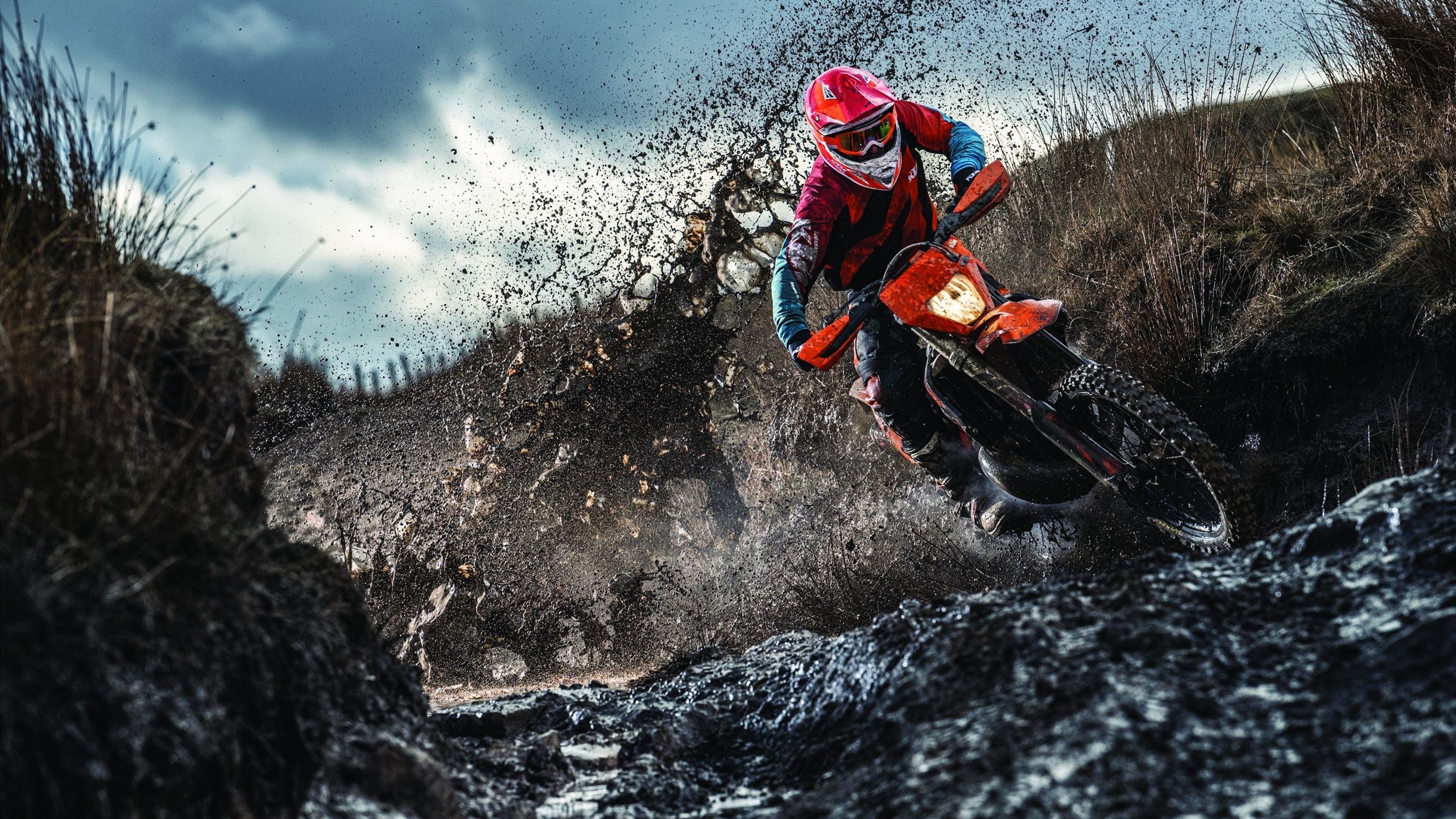 美国队在巴黎奥运会比赛中展现出高效的快攻配合，美国队奥运强势项目